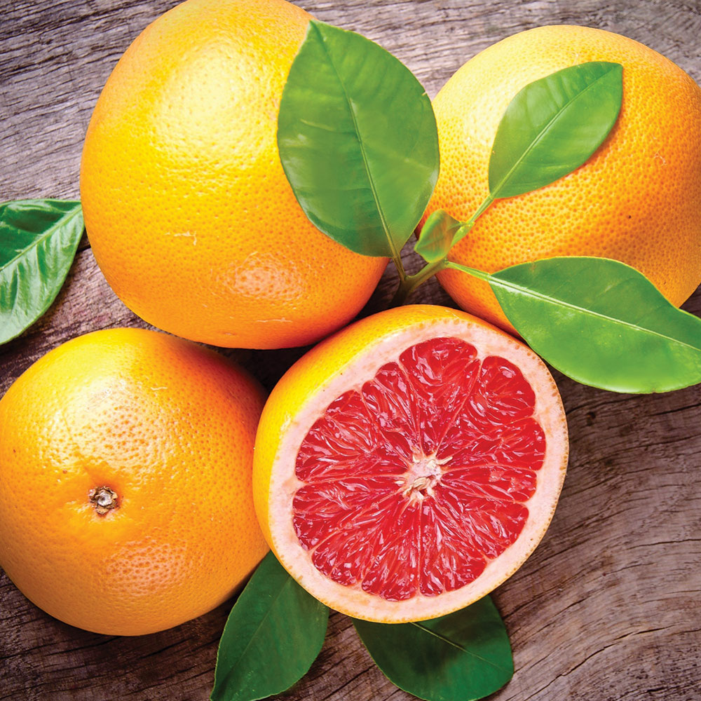 Geleneksel Ev Yapımı Tarifler