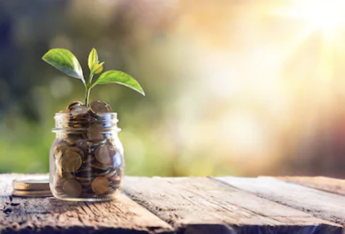 Yatırım Olanakları